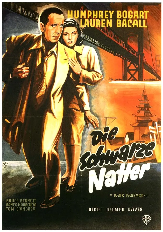 دانلود فیلم گذرگاه تاریک Dark Passage 1947 با دوبله فارسی