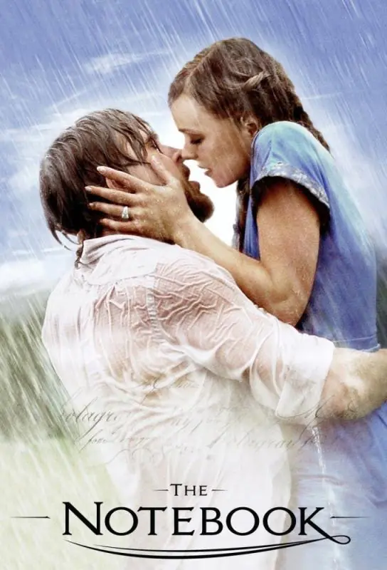 دانلود فیلم دفترچه خاطرات The Notebook 2004 دوبله فارسی
