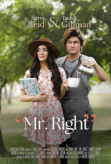 دانلود فیلم آقای مناسب Mr. Right 2023