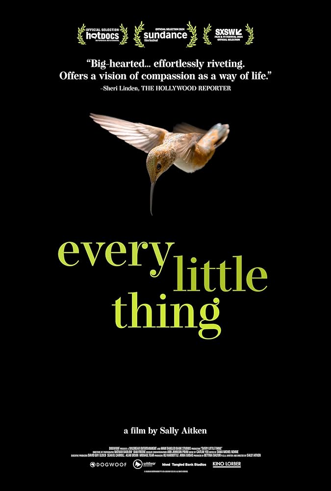 دانلود فیلم هر چیز کوچک Every Little Thing 2024